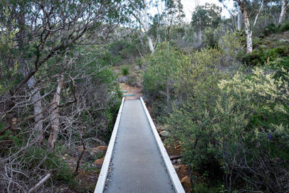 Ellis Brook Reserve