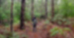Wiilman Bilya Trail