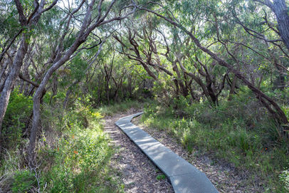 Bald Head Walk Trail