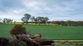 Farmland seen from Gathercole Nature Reserve