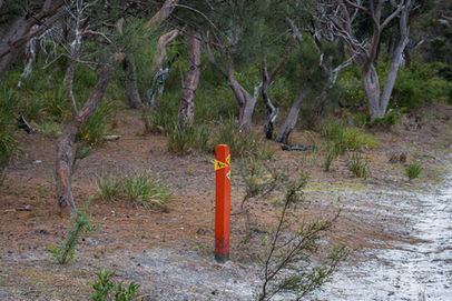 Nuyts Wilderness Walk