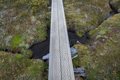 Boardwalk on the Overland Track
