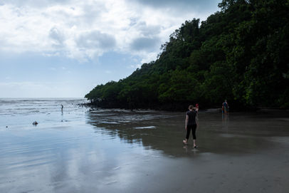 Cape Tribulation Beach