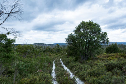 Nuyts Wilderness Walk