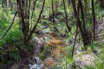 Scotsdale Brook