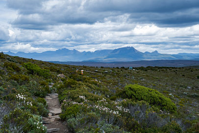 Open vistas on the Overland Track