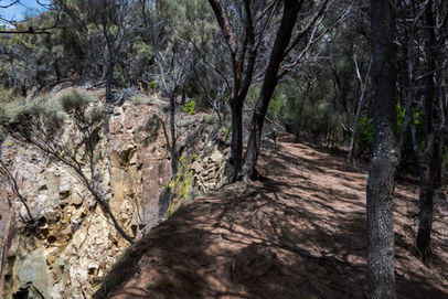 Fluted Cape Walk Track