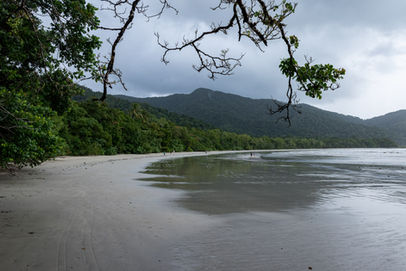 Cape Tribulation Beach