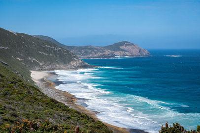 Bald Head Walk Trail