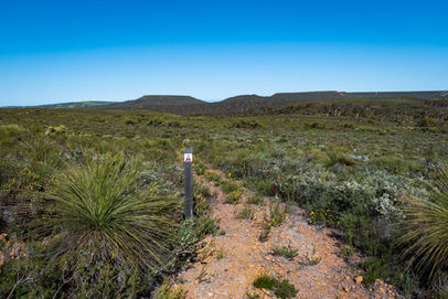 Hiking Trails in Lesueur National Park