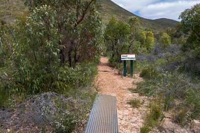 Mount Hassell Trail Head