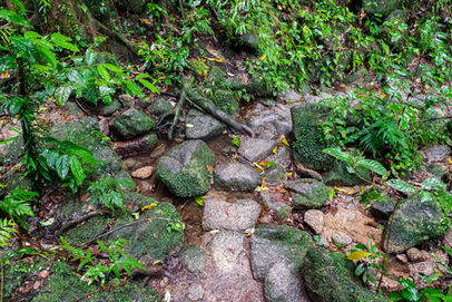 Stepping stones over a small creek