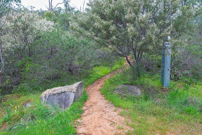 Nyaania Creek Walk