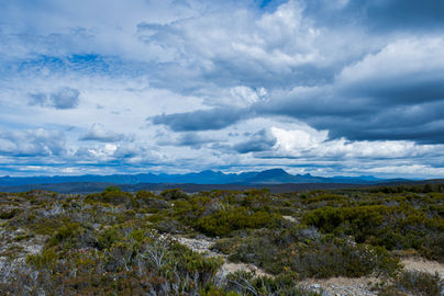 Looking across Waterfall Valley on the Overland Track