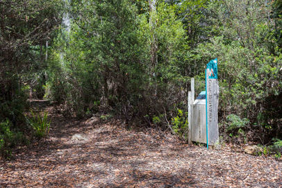 Start of the Meander Falls Track