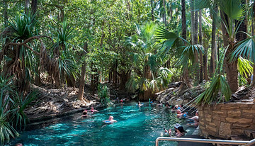 Mataranka Hot Springs