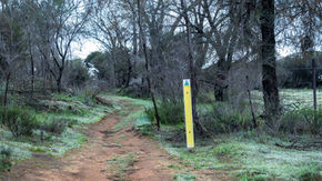 Walk Trail in Gathercole Nature Reserve