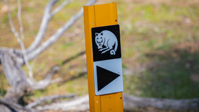 Trail Marker for the Woylie Walk