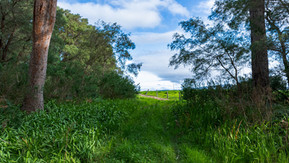 Torbay Nature Trail