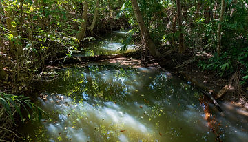 Holmes Jungle Nature Park