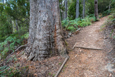 Alum Cliffs Track