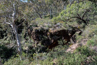 Yonga Trail
