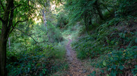 Tipperary Track-14.jpg