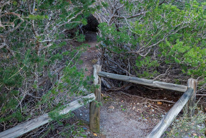 Blue Wren Ramble Trail