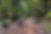 Cycling near Jarrahdale