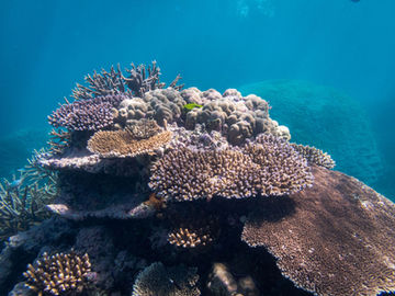 Great Barrier Reef