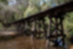 Pemberton to Northcliffe on the Munda Biddi Trail