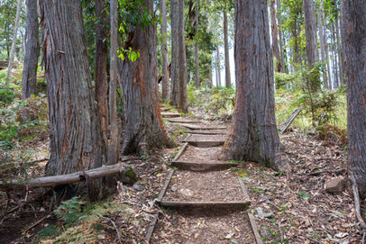 Alum Cliffs Walk Trail