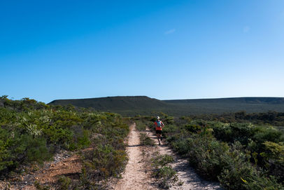 Trail Runner on the Yonga Trail