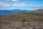 Alpine Hikes in Mount Field National Park