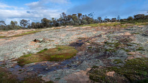 Gathercole Nature Reserve