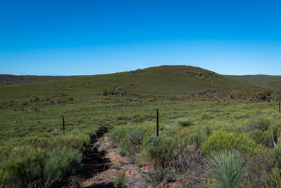 Yonga Trail
