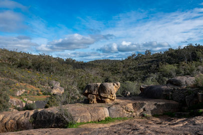 Eagle View Walk Trail