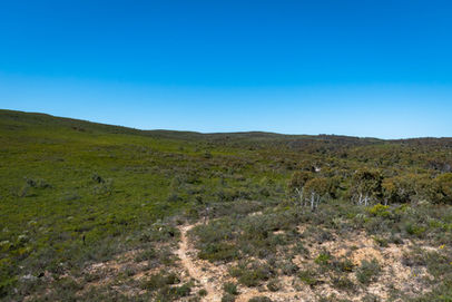 Kwongan Heath