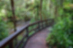 Franklin Nature Trail