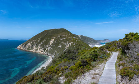 Bald Head Walk Trail