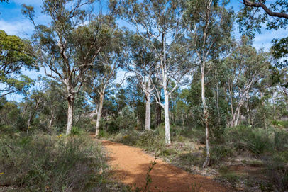Eagle View Walk Trail