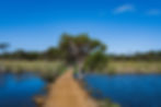 Lake Seppings