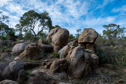 Eagle View Walk Trail