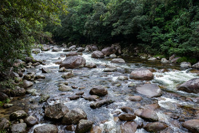 Mossman River