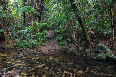 Little Falls Creek