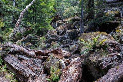 Meander Falls Track