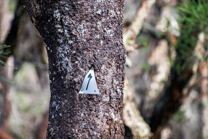 Old Timberline Trail marker