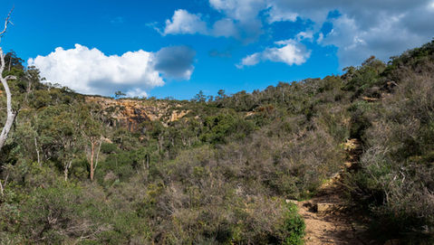 Sixty Foot Falls Trail