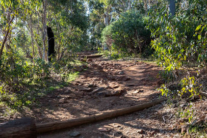 Ellis Brook Reserve