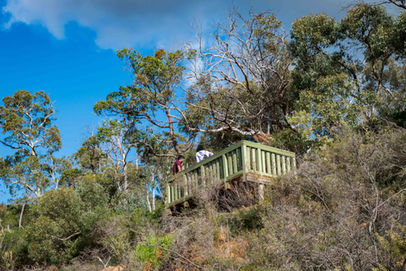 Sixty Foot Falls Lookout